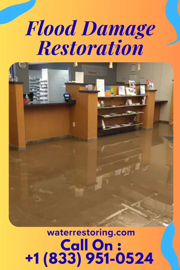 Flood Damage Restoration in Satartia, MS