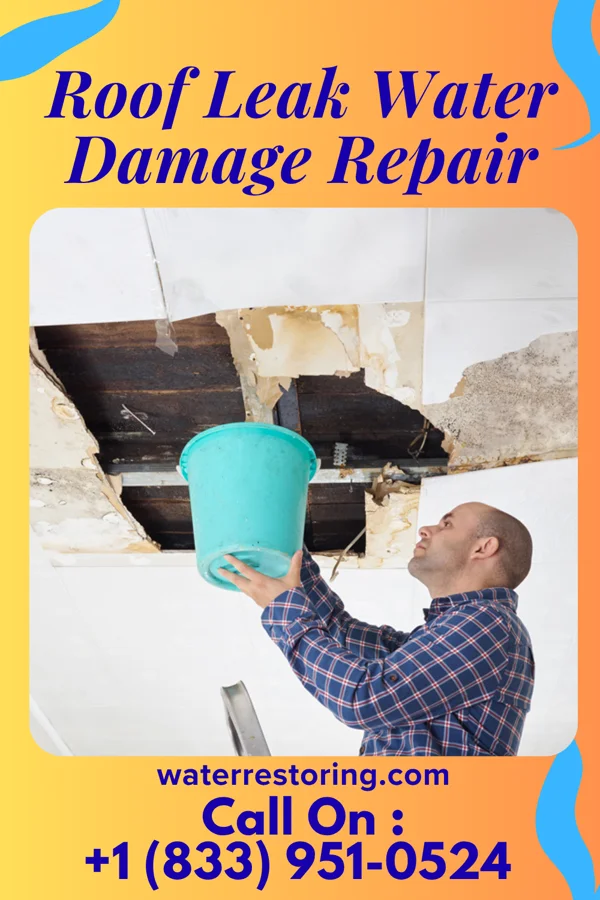 Roof Leak Water Damage Repair in Satartia, MS