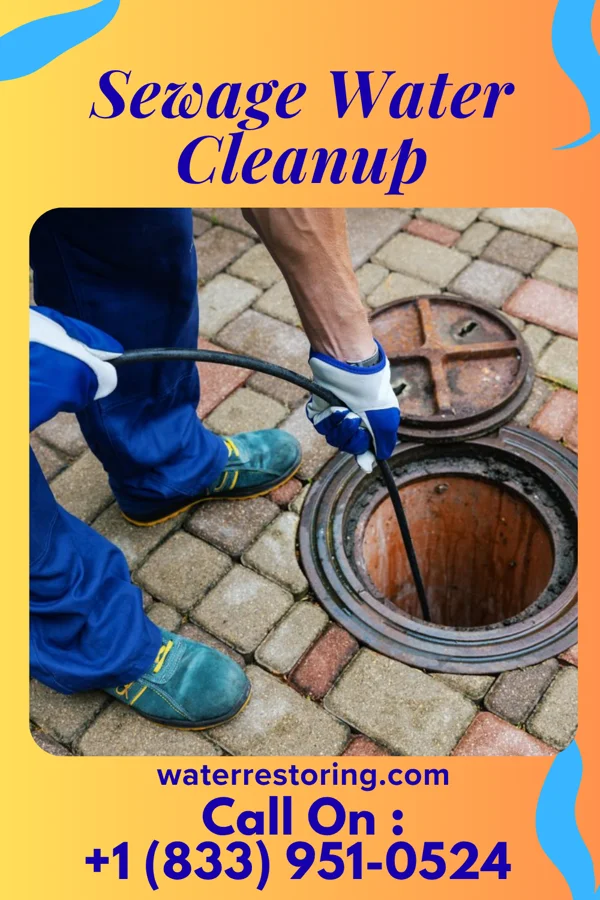 Sewage Water Cleanup in Satartia, MS