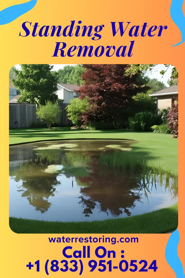 Standing Water Removal in Satartia, MS